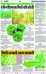 Page 5 copy