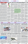 Page 6 copy