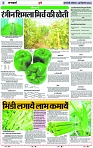 Page 5 copy