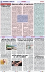 Page 6 copy